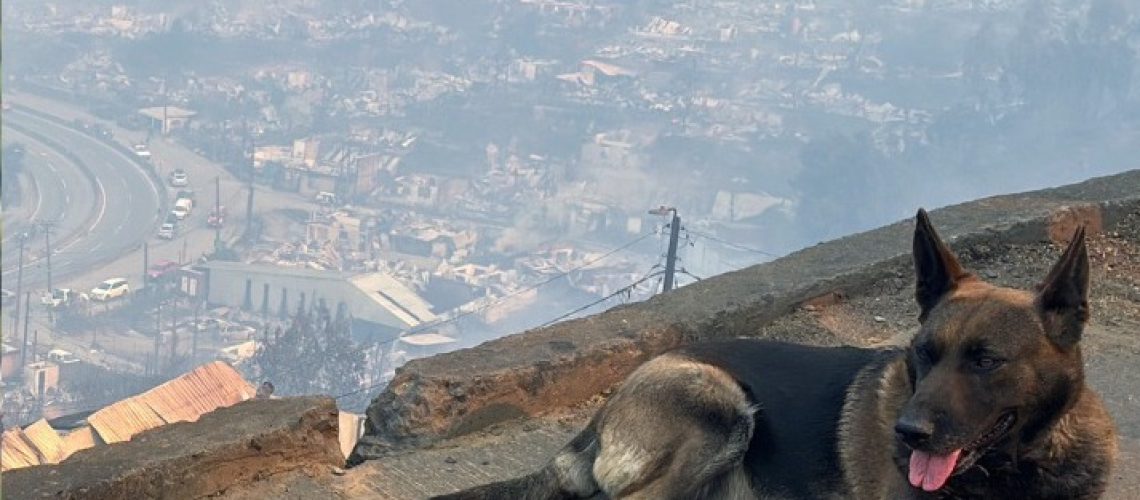 615687944_1453734126120339_4701613933377740834_n