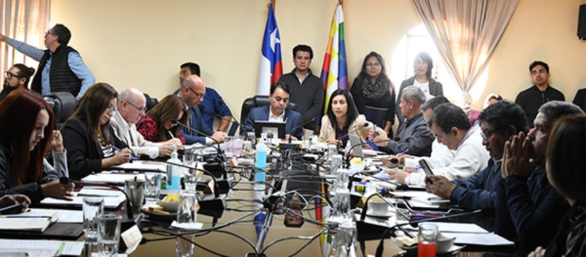 Consejo-Regional-de-Arica-y-Parinacota-1